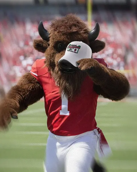 Shop Indiana Hoosiers 2025 Football National Championship Hats