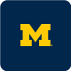 Shop Michigan Wolverines